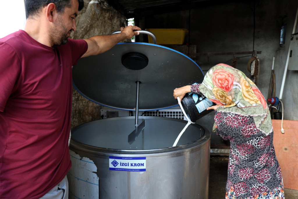 Soğutma tankları süt üreticisinin maliyetini düşürdü