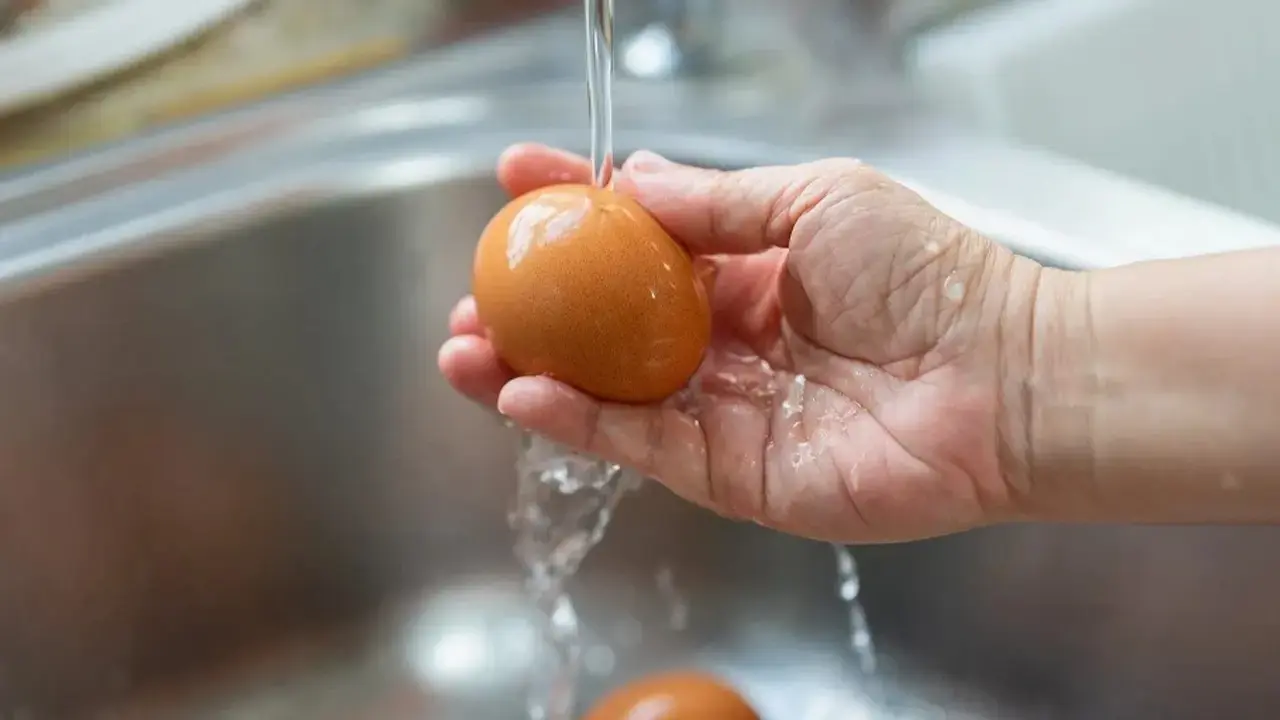 Yumurtada bu işaretle karşılaşırsanız sakın almayın!