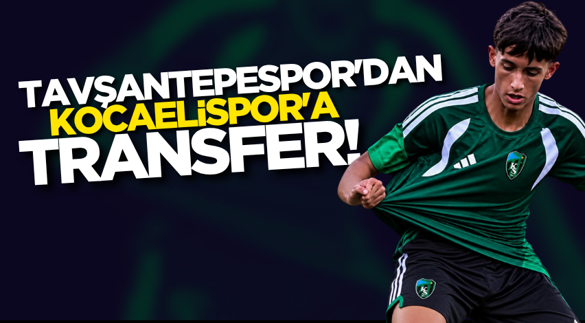 Tavşantepespor'dan Kocaelispor'a transfer!