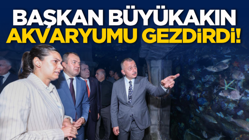 Başkan Büyükakın akvaryumu gezdirdi!