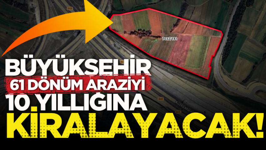 Büyükşehir, 61 dönüm araziyi 10 yıllığına kiralayacak!
