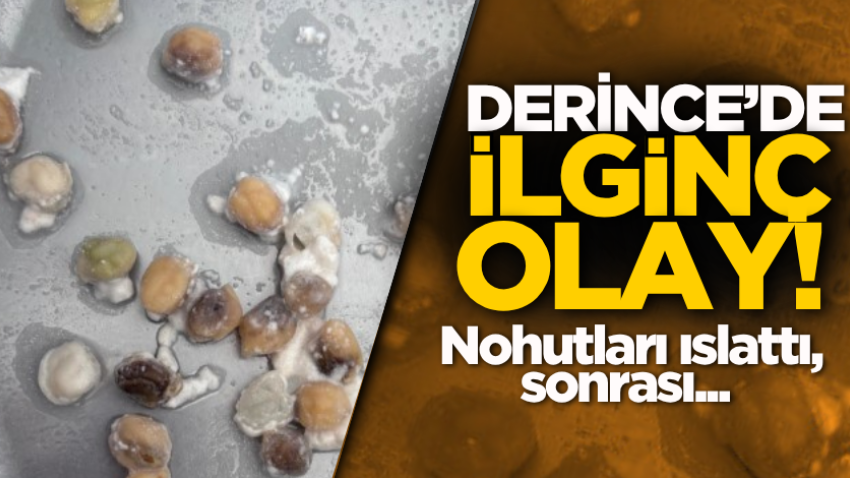 Derince’de ilginç olay! Nohutları ıslattı, sonrası...