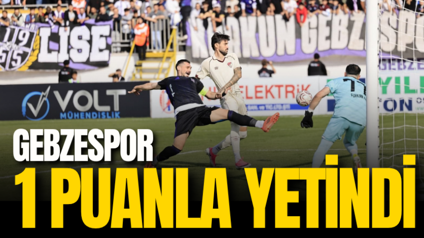 Gebzespor 1 puanla yetindi