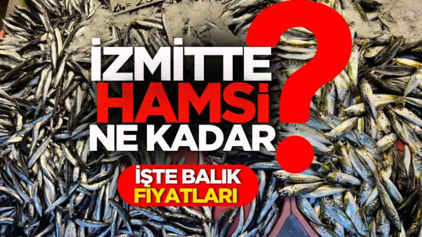 İzmitte hamsi ne kadar? İşte balık fiyatları