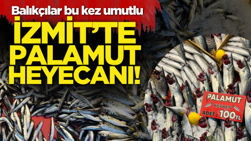 İzmit’te palamut heyecanı! Balıkçılar bu kez umutlu 