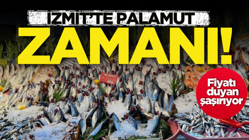 İzmit’te palamut zamanı! Fiyatı duyan şaşırıyor 