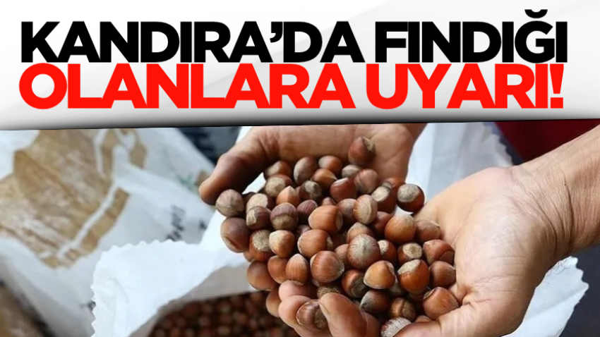 Kandıra’da fındığı olanlara uyarı!