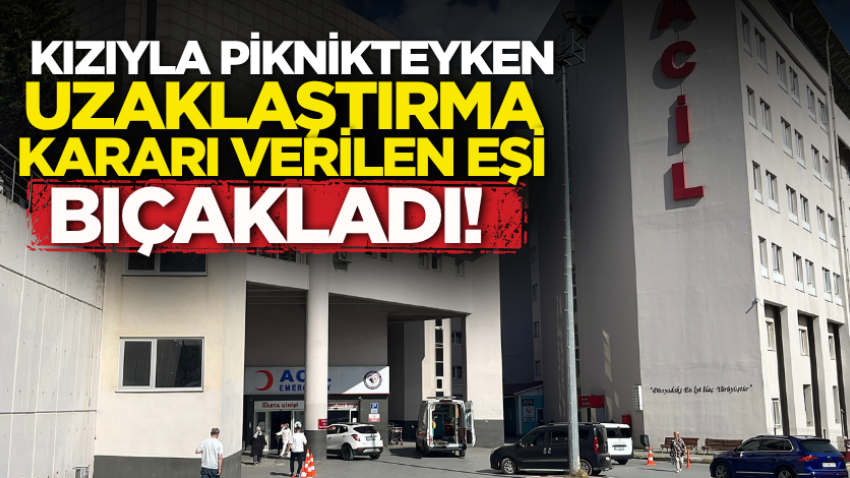 Kızıyla piknikteyken uzaklaştırma kararı verilen eşi bıçakladı!