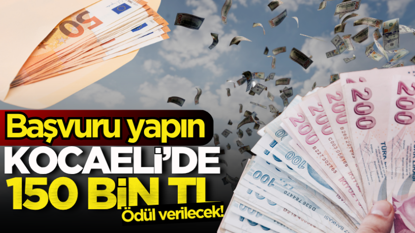 Kocaeli’de 150 bin TL ödül verilecek! Başvuru yapın