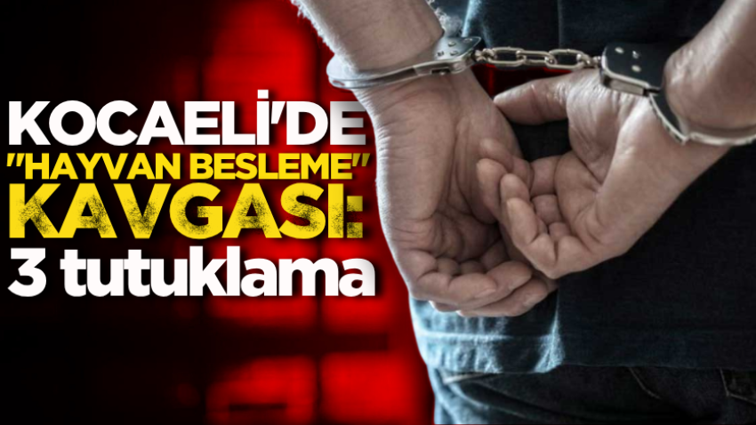Kocaeli'de "hayvan besleme" kavgası: 3 tutuklama