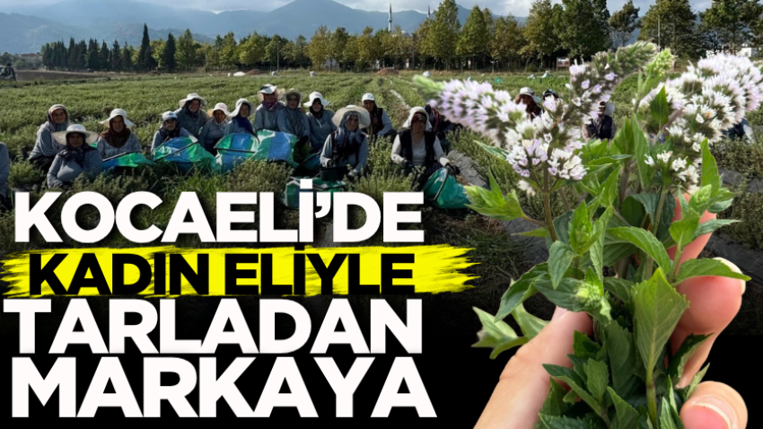 Kocaeli’de kadın eliyle tarladan markaya: Emeğin hasadı