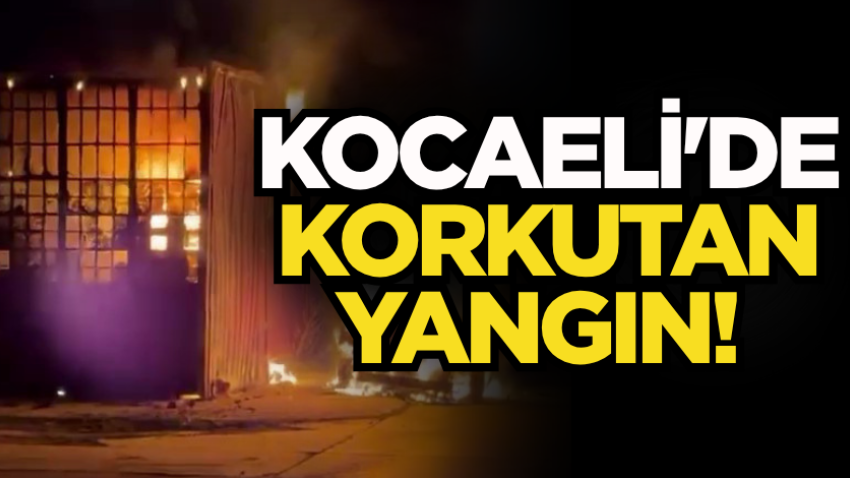 Kocaeli'de korkutan yangın! 