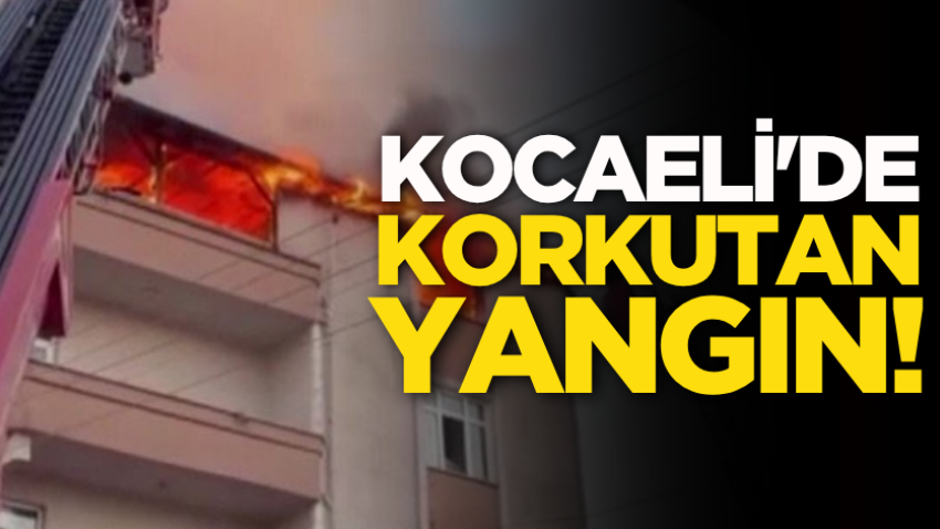 Kocaeli'de korkutan yangın! 