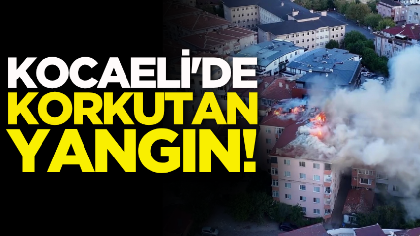 Kocaeli'de korkutan yangın!