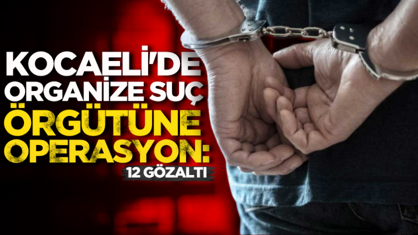 Kocaeli'de organize suç örgütüne operasyon: 12 gözaltı