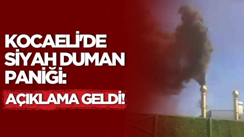 Kocaeli'de siyah duman paniği: Açıklama geldi!