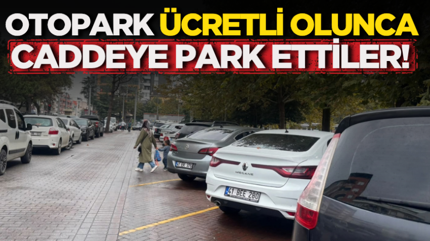 Otopark ücretli olunca caddeye park ettiler!