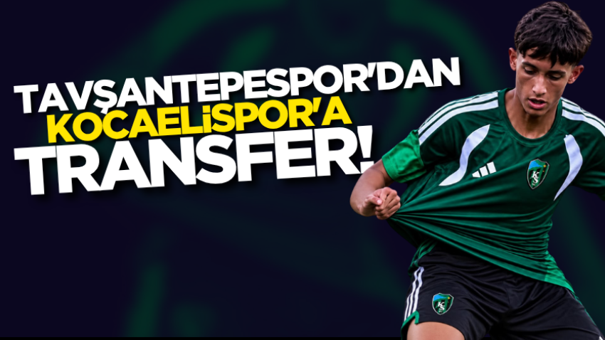 Tavşantepespor'dan Kocaelispor'a transfer!
