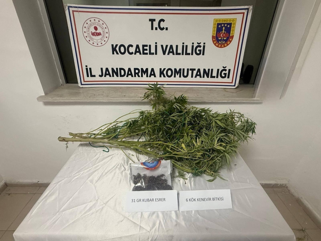 Kocaeli'de 1 kilo esrar ele geçirildi
