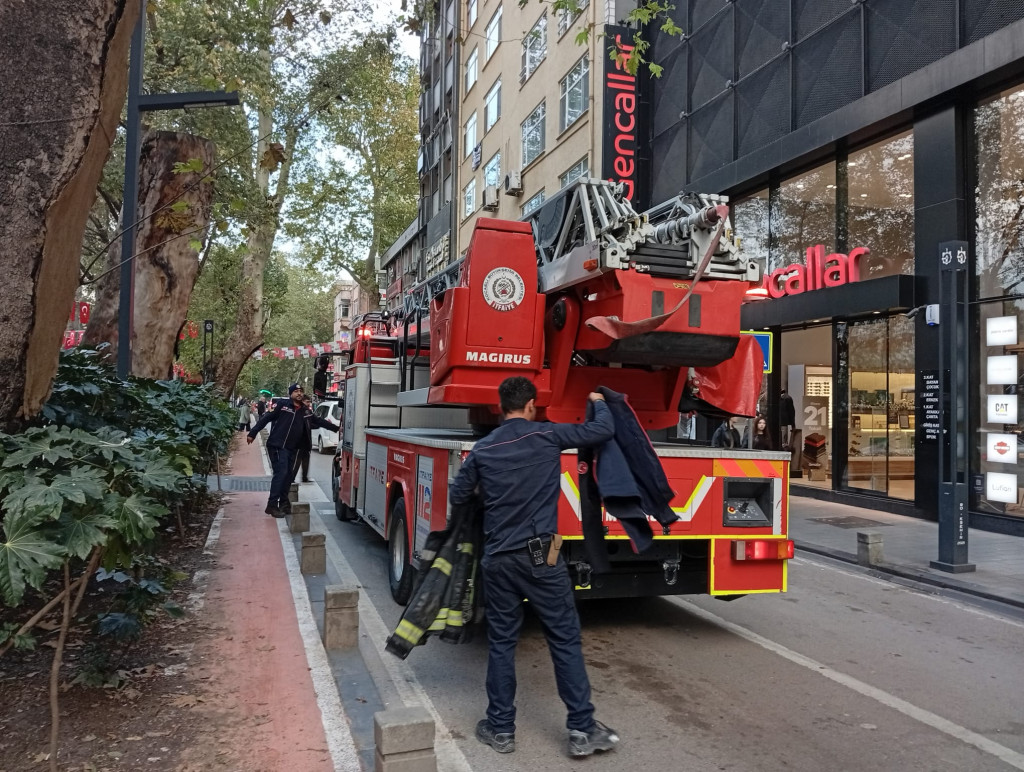 Yürüyüş Yolu’nda yavru kedi operasyonu!