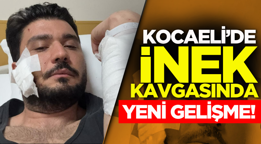 Kocaeli’de inek kavgasında yeni gelişme!