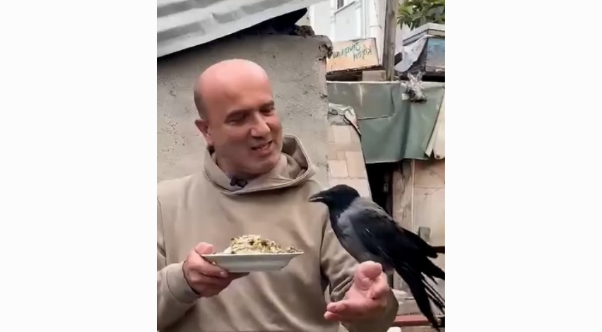 Kocaeli’de yürek ısıtan dostluk! 4 yıldır eliyle besliyor