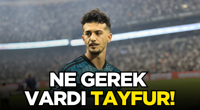 Ne gerek vardı Tayfur!