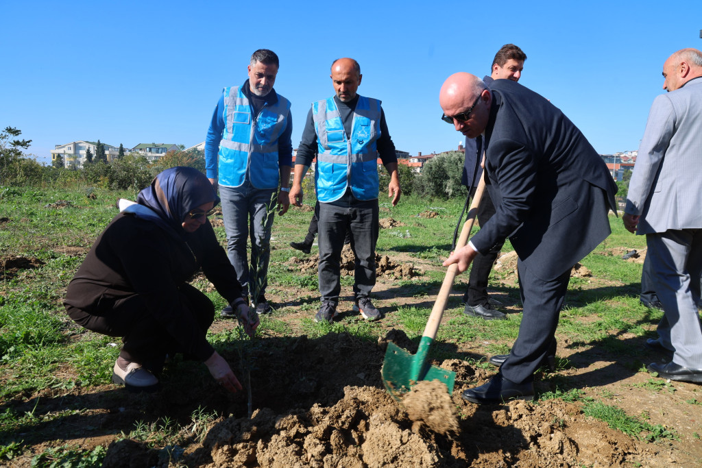 Darıca'da Zeytin Festivali kapsamında 100 fidan dikildi