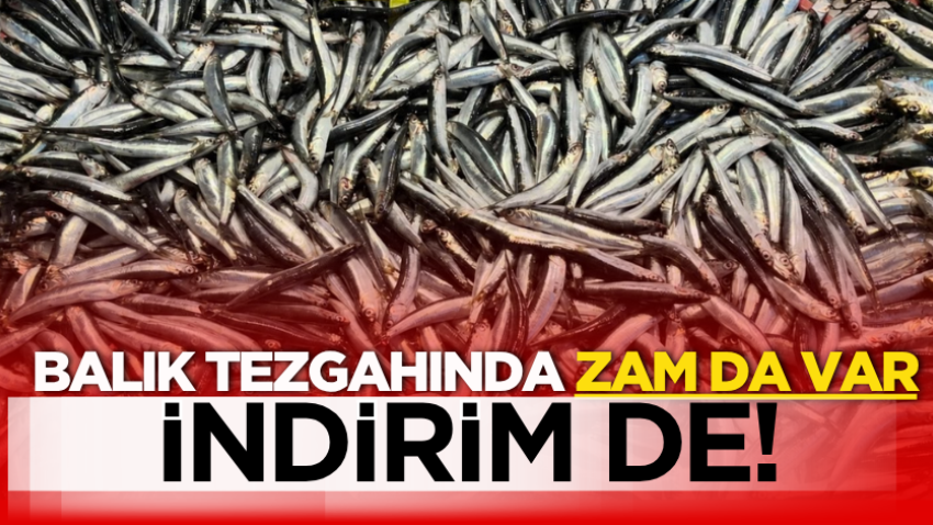 Balık tezgahında zam da var indirim de!