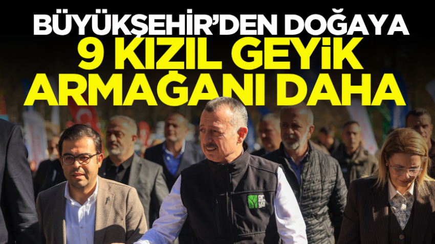 Büyükşehir’den doğaya 9 kızıl geyik armağanı daha