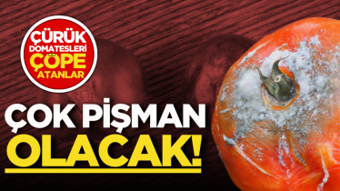 Çürük domatesleri çöpe atanlar çok pişman olacak!