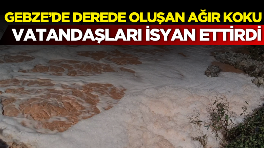 Gebze’de derede oluşan ağır koku vatandaşları isyan ettirdi