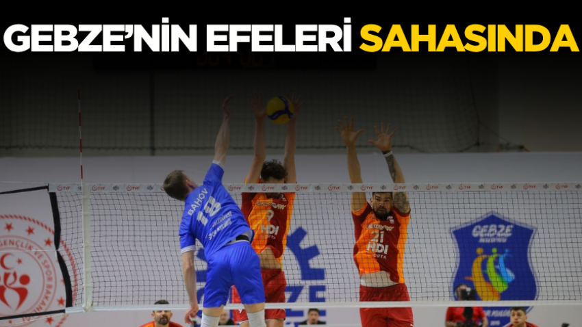 Gebze’nin Efeleri sahasında
