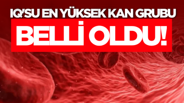 IQ'su en yüksek kan grubu belli oldu!