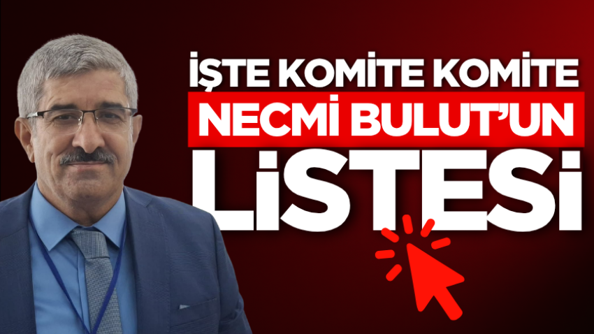 İşte komite komite Necmi Bulut’un listesi