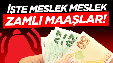 İşte meslek meslek zamlı maaşlar! 