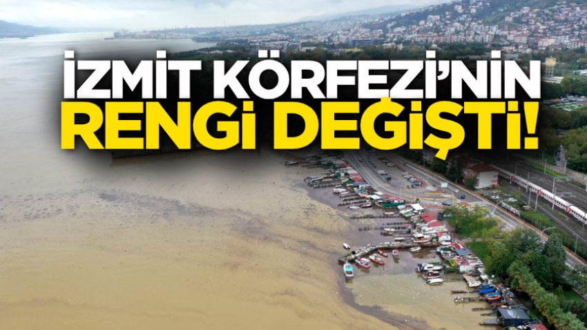 İzmit Körfezi’nin rengi değişti! 