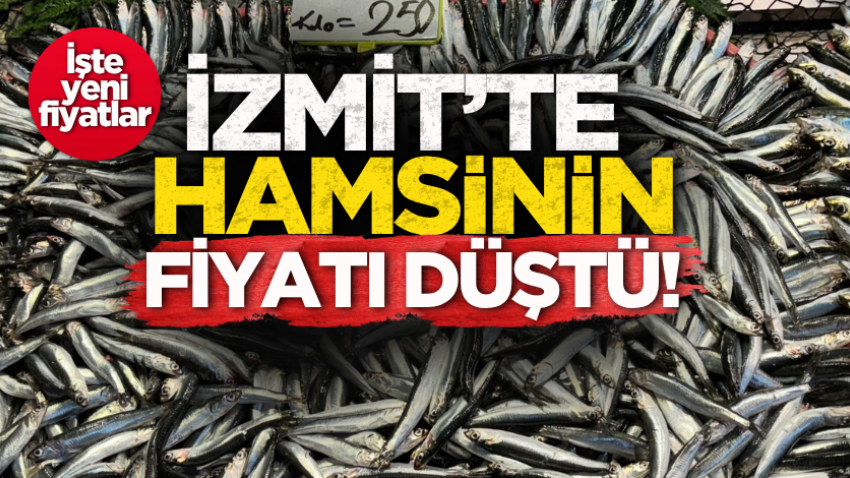 İzmit’te hamsinin fiyatı düştü! İşte yeni fiyatlar 