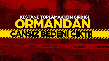 Kestane toplamak için girdiği ormandan cansız bedeni çıktı!