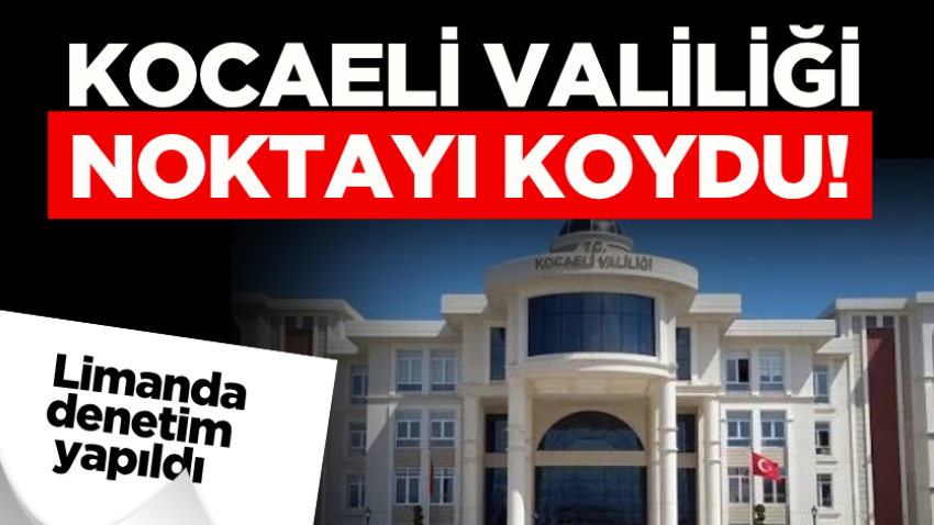 Kocaeli Valiliği noktayı koydu! Limanda denetim yapıldı 