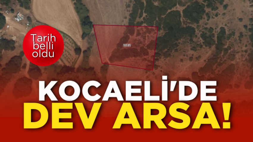 Kocaeli'de dev arsa! Tarih belli oldu 