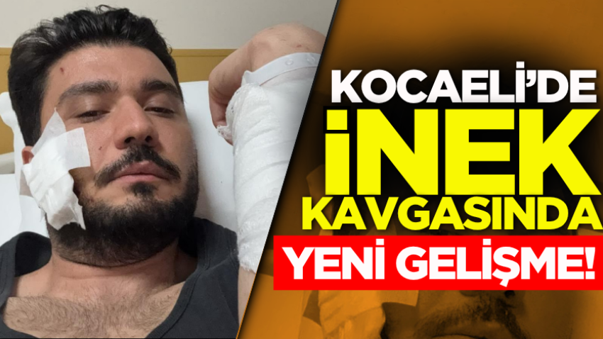 Kocaeli’de inek kavgasında yeni gelişme!