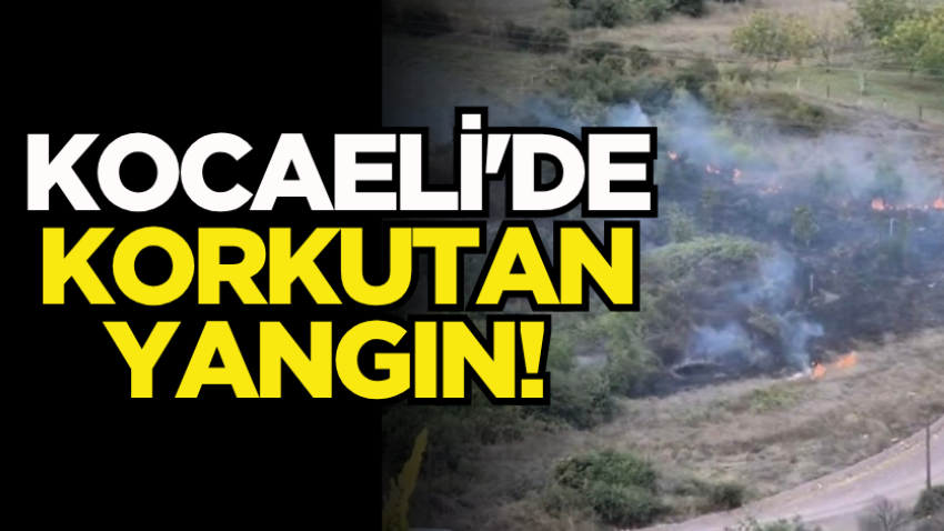 Kocaeli'de korkutan yangın! 