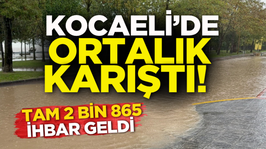 Kocaeli’de ortalık karıştı! Tam 2 bin 865 ihbar geldi