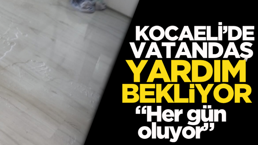 Kocaeli’de vatandaş yardım bekliyor: “Her gün oluyor” 
