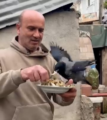 Kocaeli’de yürek ısıtan dostluk! 4 yıldır eliyle besliyor