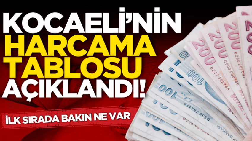 Kocaeli’nin harcama tablosu açıklandı! İlk sırada bakın ne var 