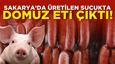 Sakarya’da üretilen sucukta domuz eti çıktı!