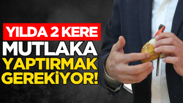Yılda 2 kere mutlaka yaptırmak gerekiyor!