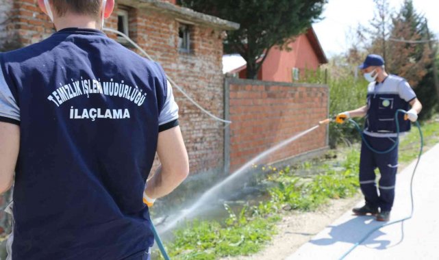 Serdivan'da ilaçlama çalışmaları devam ediyor Güncel Mavi Kocaeli